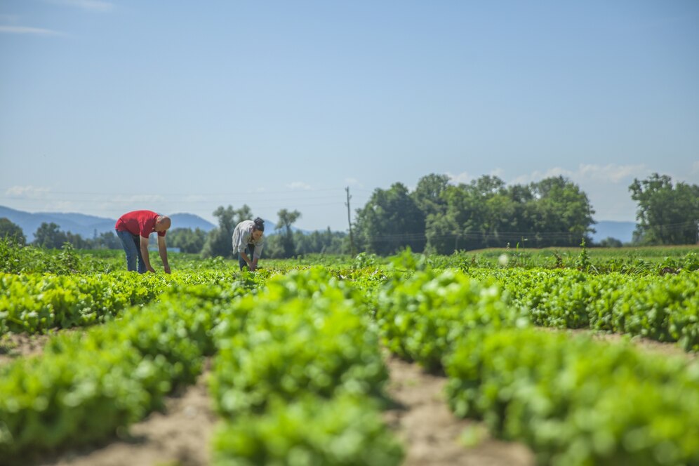 Agricultura digital